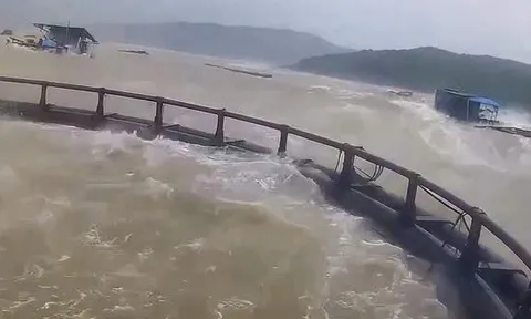 Quảng Trị: 4 người bị thương, hơn 2.100ha lúa ngập úng do mưa lũ
