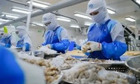 Thủy sản lập kỷ lục xuất khẩu 11 tỉ USD