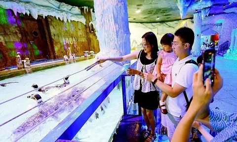 Cha mẹ im lặng trước chuyện cưới hỏi, sinh con: Thấu hiểu hay thất bại trong việc định hướng?