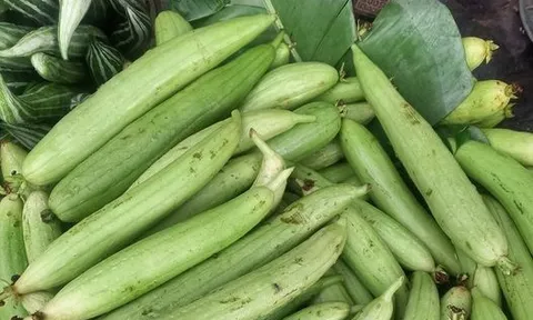 Liệu pháp tự nhiên phòng chữa chứng chảy máu mũi tại nhà