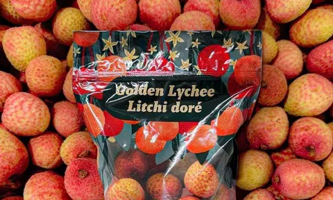 Vì sao trái vải vừa là thức ăn, vừa là loại thuốc của tự nhiên?