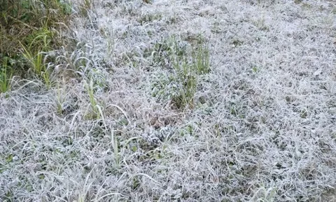 Nhiều địa phương dưới 10 độ C, đề phòng băng giá