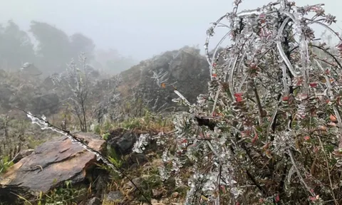 Dự báo thời tiết 13/1: Đợt không khí lạnh mạnh khiến miền Bắc rét buốt đến khi nào?