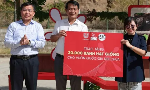 Hành trình một triệu cây: Từ Núi Chúa đến khắp Việt Nam