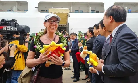 Loạt du thuyền cập bến Quảng Ninh dịp Tết Bính Ngọ 2026