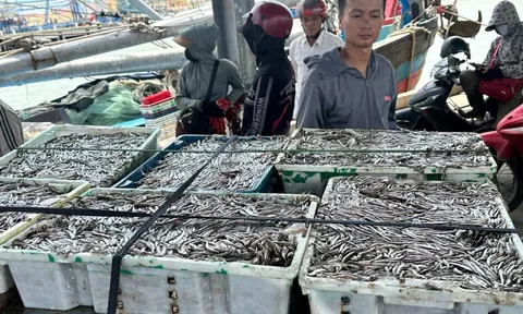 Những món ăn giúp tăng cường sức khỏe cho làn da, giúp bạn sẵn sàng một năm làm việc mới