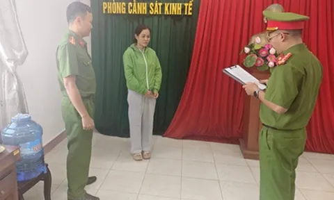 Mua bán trái phép hóa đơn, nữ giám đốc bị khởi tố