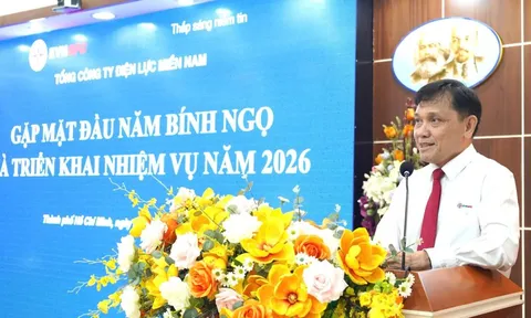 Điện lực miền Nam: Triển khai nhiệm vụ ngay sau Tết