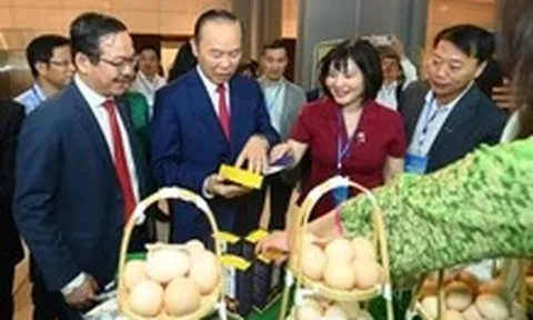 Xây dựng thương hiệu bò H’Mông thành đặc sản như Hanwoo của Hàn Quốc