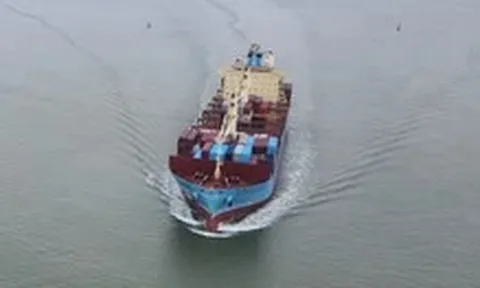 Giảm 10% giá dịch vụ hoa tiêu hàng hải cho tàu biển Việt Nam