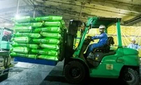 Đề nghị doanh nghiệp ưu tiên phân bón cho thị trường trong nước