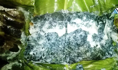 Loại lá mọc dại bờ rào được xem là "bảo bối" cho hệ tiêu hóa