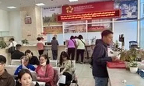 Thuế đồng loạt yêu cầu hộ kinh doanh có doanh thu dưới 500 triệu ngừng sử dụng hóa đơn