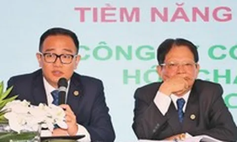 Lợi nhuận Hóa chất Đức Giang 'bốc hơi' mạnh sau khi lãnh đạo bị bắt