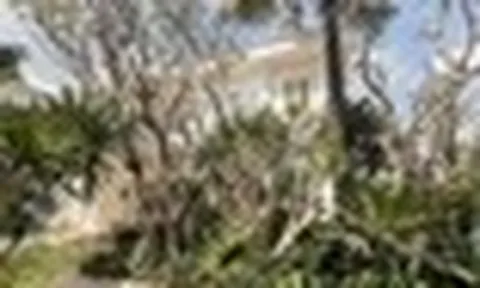 Người bố nhiều con nhất showbiz: Mỗi tuần chi cả chục triệu cho 1 thú vui, ở biệt thự 2.000m² đẹp cỡ bảo tàng nghệ thuật