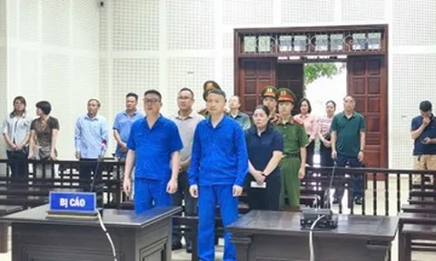 Cựu giám đốc Công ty Viglacera Hạ Long 2 bị phạt 15 năm tù