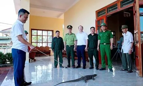 Hành động của người đàn ông khi phát hiện kỳ đà 5kg trong vườn