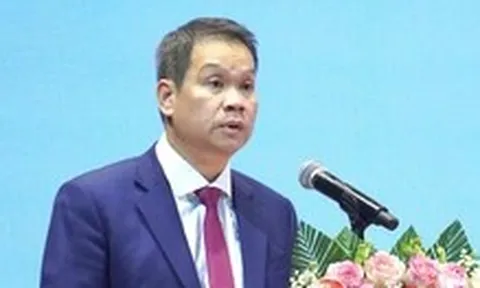 Đà Nẵng chấp nhận 3 dự án đầu tư hạ tầng khu thương mại tự do, Phương Trang đầu tư nhiều nhất
