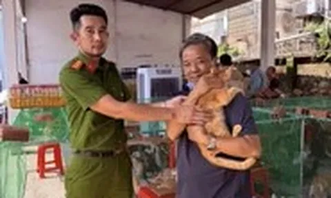 Đi tìm mèo cưng chỗ mấy chú công an phòng hình sự