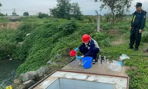 Hà Nội: Tiếp tay cho doanh nghiệp vi phạm, giám đốc công ty và viện trưởng bị khởi tố