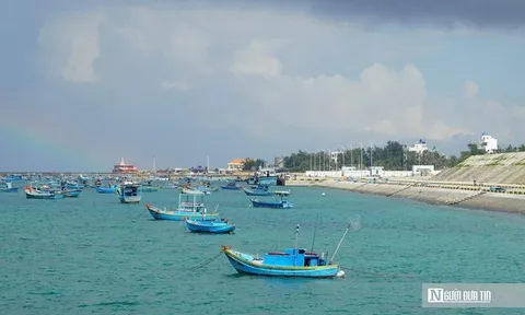Cận cảnh khu neo đậu tránh trú bão cách đất liền hơn 100km cho tàu thuyền