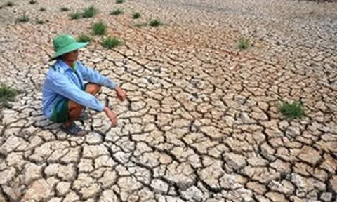 El Nino có thể mạnh như 10 năm trước, Việt Nam đối mặt kịch bản khô hạn ra sao?