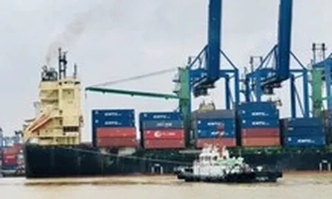 Cước vận chuyển đi Mỹ, châu Âu tiếp tục tăng vọt