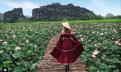 Tỉnh duy nhất ở Việt Nam sở hữu quần thể danh thắng "Hạ Long trên cạn", là di sản hỗn hợp UNESCO duy nhất cả nước: nửa đầu năm 2026 đã hút 17,6 triệu lượt khách, doanh thu 18.000 tỷ đồng