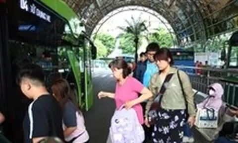 Từ 4-8, người thuộc diện ưu tiên có thể đăng ký thẻ giao thông công cộng