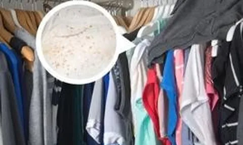 Thợ mộc lành nghề bật mí cách cứu tủ gỗ khỏi mùi hôi, mốc góc và phồng cánh mùa mưa: Không phải cứ lau là xong