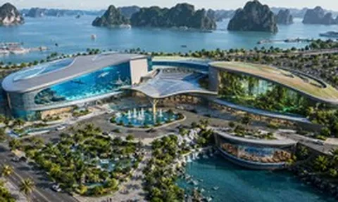 Thuỷ cung Vingroup đầu tư lớn cỡ nào, mà gấp 6 lần ở Trung Quốc, vượt kỷ lục Guiness hiện tại?