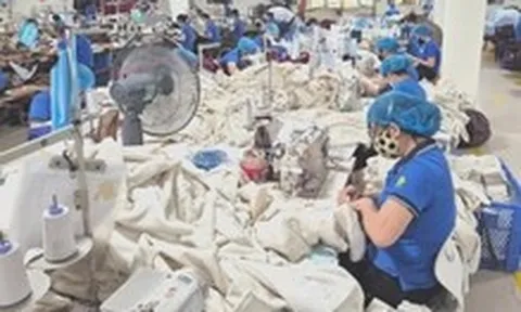 Ứng phó trước nghi vấn gian lận xuất xứ từ 'mạng lưới ngầm' hàng xuất khẩu sang Mỹ ra sao?