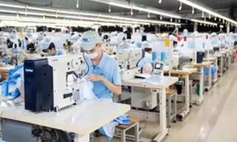 TP.HCM quá tải vì phải xử lý hàng ngàn hồ sơ cấp giấy chứng nhận xuất xứ từ tỉnh khác