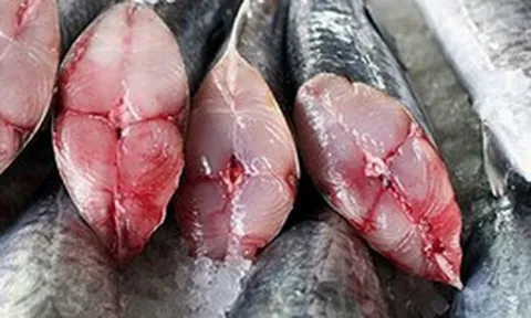 6 loại cá chứa lượng thủy ngân cao nhất