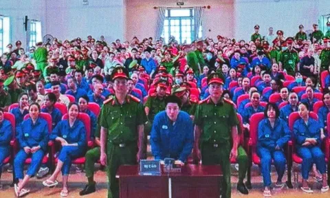 Chuyên án VN10: Ca sĩ Chi Dân, người mẫu An Tây mong người trẻ dừng sai lầm giống mình