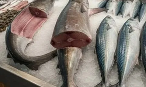 6 loại cá "ngậm" nhiều thủy ngân bậc nhất