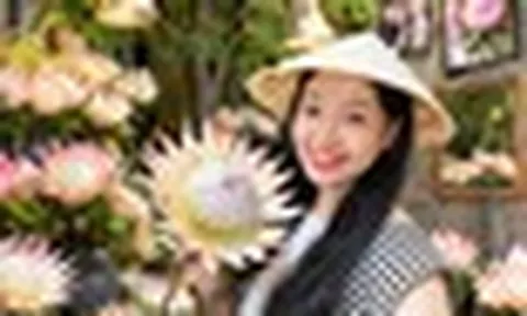 "Thảo đường hoàng đế" là hoa gì mà giá tới 1,5 triệu đồng/bông, khiến giới trẻ rần rần xếp hàng check-in?