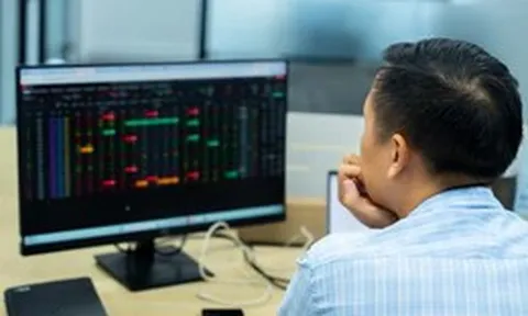 Quỹ PYN Elite bật tăng trở lại, gần nửa danh mục đặt vào 4 cổ phiếu