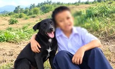 Chó Đen theo sát cậu chủ nhỏ lạc giữa núi rừng: Từng suýt bị bỏ rơi, gia đình cậu bé xin nuôi