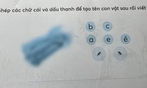 Con vật trong bài tập tiếng Việt này có gì "khác lạ" mà khiến 1 bà mẹ bức xúc, hội phụ huynh cũng vào cuộc tranh luận?