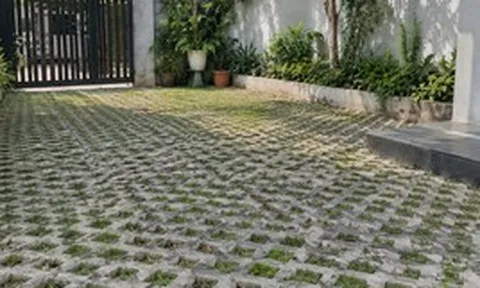 Vì sao ngày càng nhiều gia đình không còn đổ bê tông kín sân? 2 cách làm sân mát, đẹp, bớt bí đang dần thành xu hướng mới