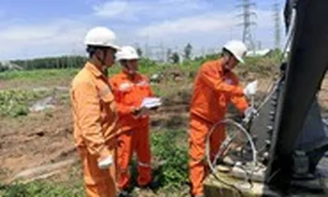 Trộm cắp thiết bị điện: Món lời vài triệu, thiệt hại hàng trăm triệu đồng
