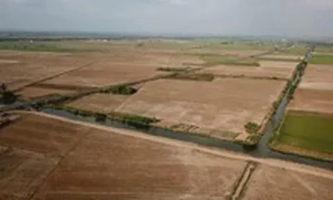 Xâm nhập mặn đến sớm, vào sâu 70-130km, làm gì để bảo vệ lúa và cây ăn trái ở miền Tây?