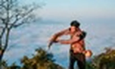 Phát hiện vùng núi cao 1.200m ở Việt Nam, có 1.400 cây cổ thụ, nhiều thân to như cột đình phủ kín rêu già
