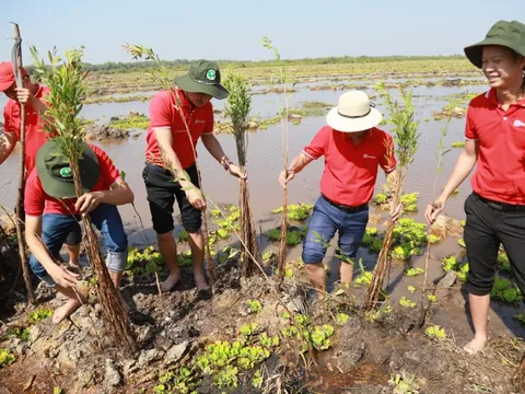 SeABank trao tặng 28.000 cây tràm cừ hỗ trợ Khu Bảo tồn Đất ngập nước Láng Sen