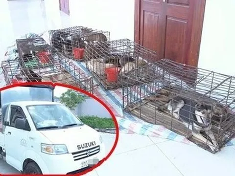 Cái kết cho băng nhóm "siêu trộm chó" ở xứ Nghệ