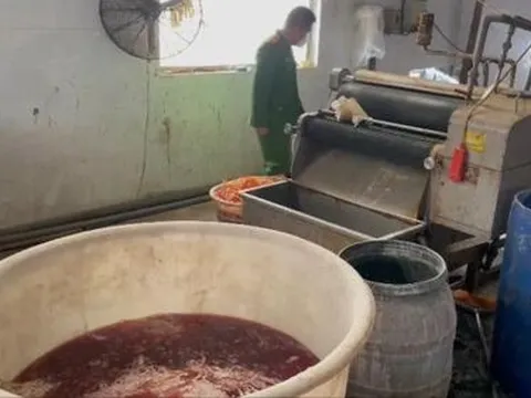 Phát hiện cơ sở chế biến lòng lợn thối 'khủng' do người Trung Quốc điều hành