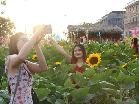 Vườn hướng dương 12.000m2 tại TPHCM thu hút giới trẻ
