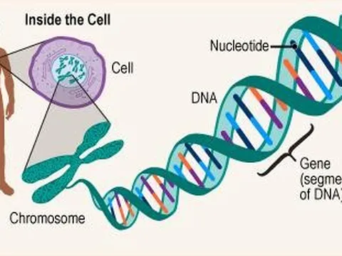 Nghiên cứu mới: Có gien tự tử