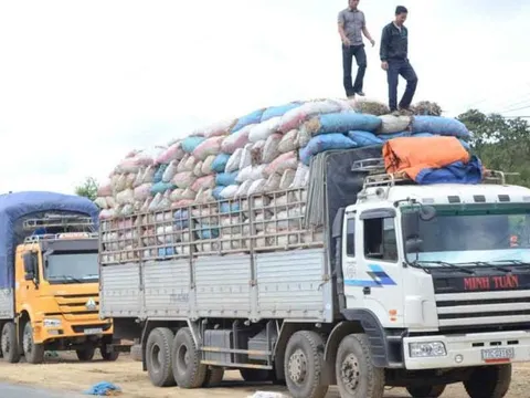 Không giải quyết thủ tục hải quan đối với xe quá tải